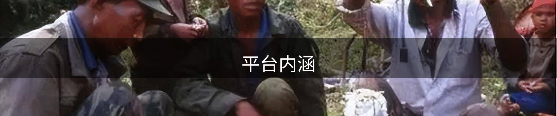 平台内涵